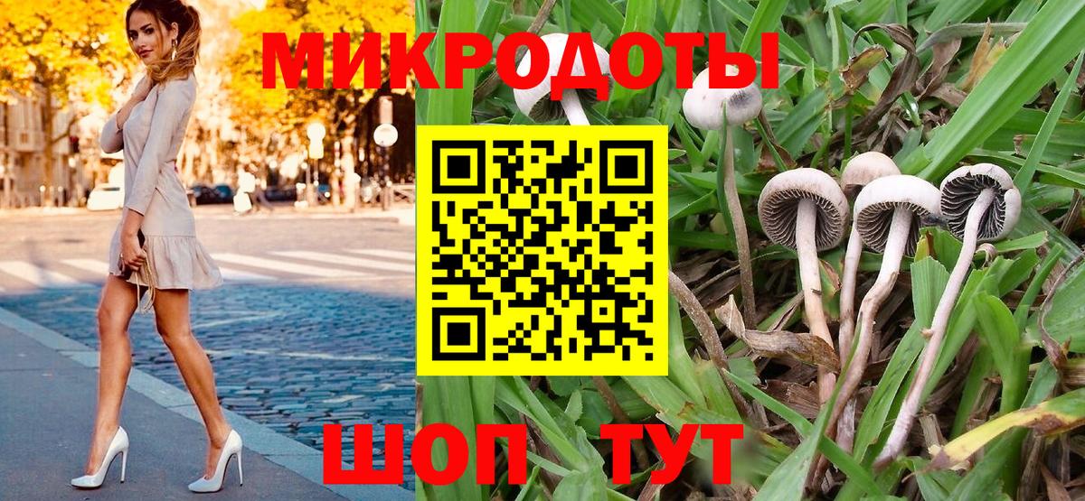 Псилоцибиновые грибы Psilocybe  Галлюциногенные грибы Psilocybine cubensis  Вход с VPN  Волоколамск 